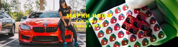 шишки Аркадак