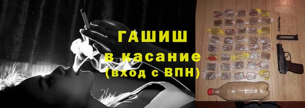 твердый Арсеньев