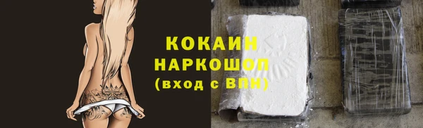 шишки Аркадак