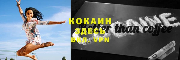 шишки Аркадак