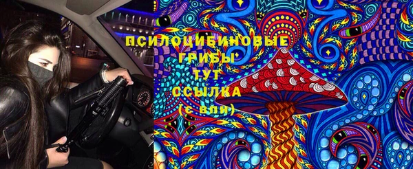 твердый Арсеньев