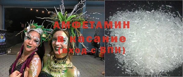 шишки Аркадак