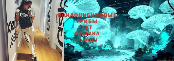 твердый Арсеньев