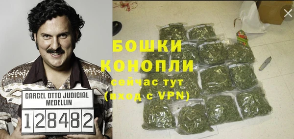 шишки Аркадак