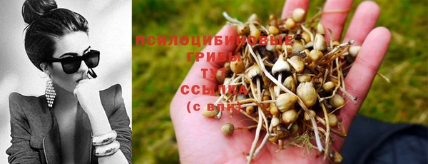 спайс Грязи