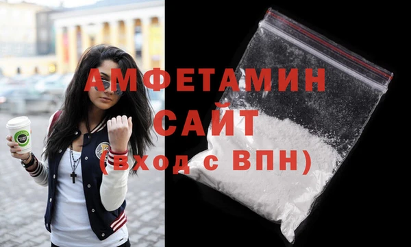 шишки Аркадак