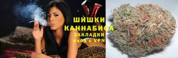 шишки Аркадак