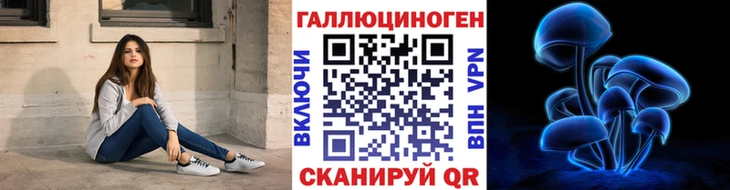 OMG ссылка  купить  сайты  Киреевск  Псилоцибиновые грибы Cubensis 