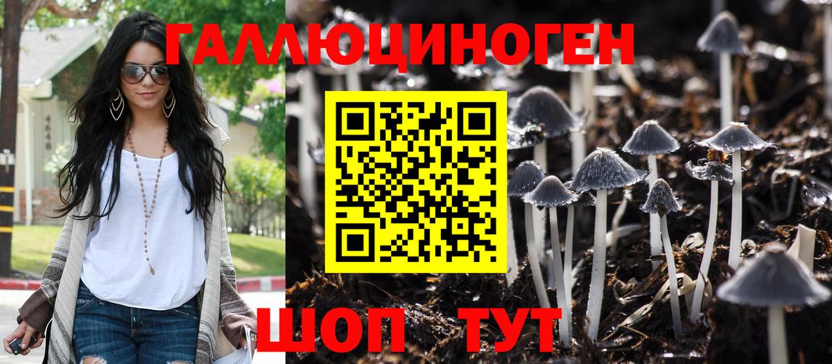 Псилоцибиновые грибы мухоморы Киреевск