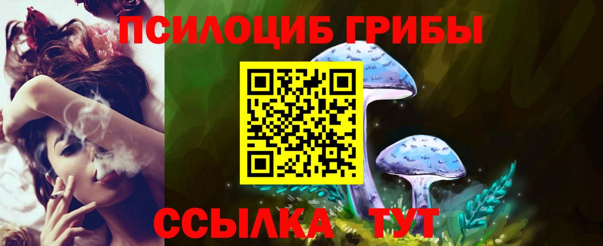 Киреевск  Галлюциногенные грибы MAGIC MUSHROOMS  Вход с VPN 
